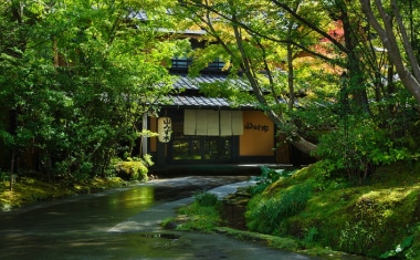 山みず木